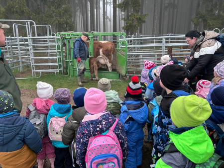 I přes nepříznivé počasí jsme si výlet užili